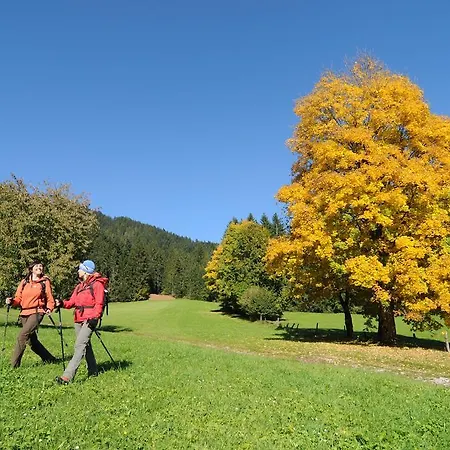 Apartment Und Helene Koller