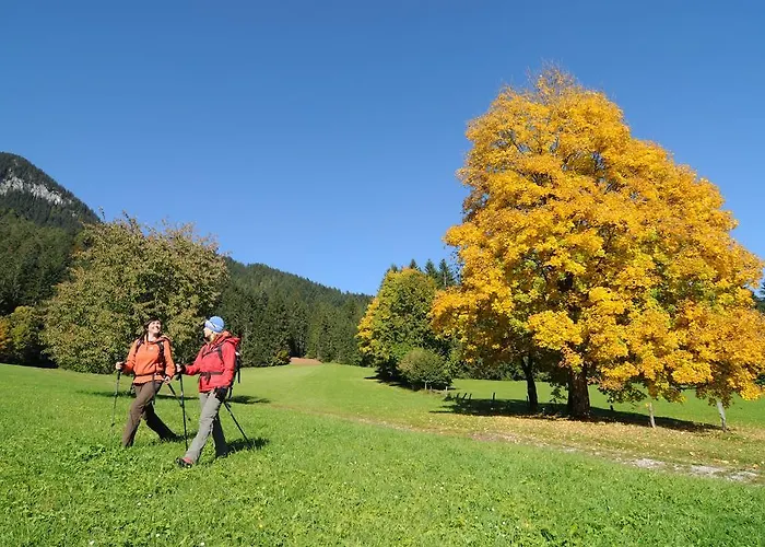 דירה Und Helene Koller