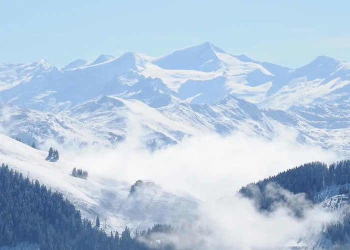 דירה Und Helene Koller *